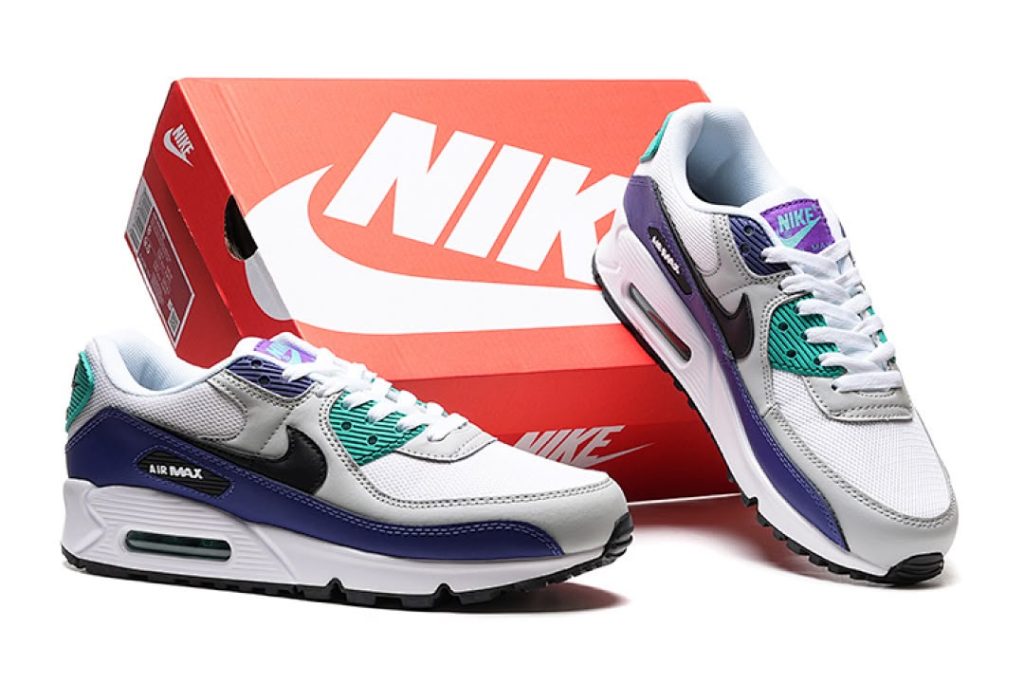 Air Max 90 Raisin